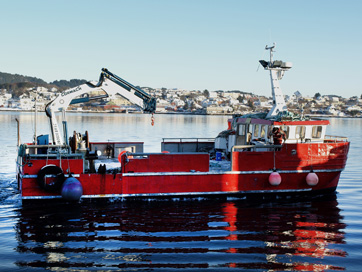 Grúas base fija y marinas