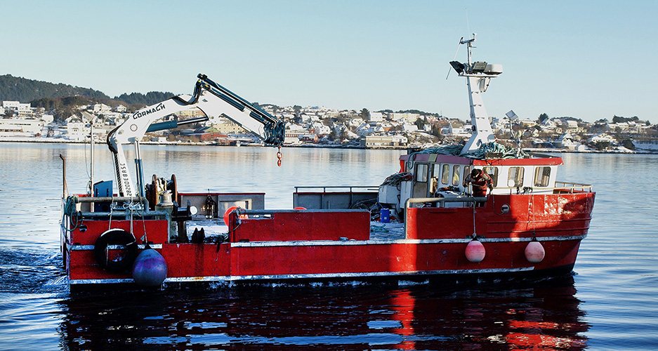 Marine cranes