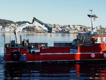 Marine cranes